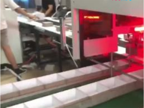 廣西雙視覺定位線,雅馬哈機械手（自動調(diào)模成型機）